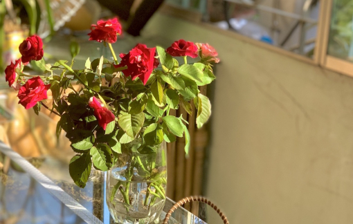 Từ bỏ "hoa gói theo tháng", cô gái Hà Nội tìm thấy niềm vui tiết kiệm từ những gánh hàng rong