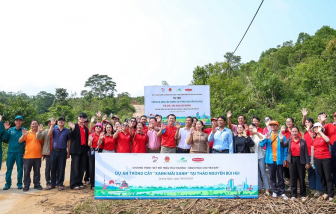 Dai-ichi Life Việt Nam trồng 6.000 cây xanh tại thảo nguyên Bùi Hui, tỉnh Quảng Ngãi