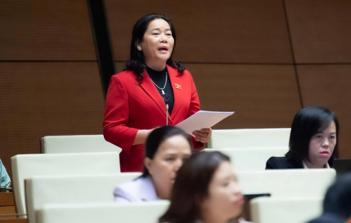 Đại biểu Quốc hội bức xúc vì ‘giá xăng dầu giảm, giá hàng hóa vẫn đứng yên’