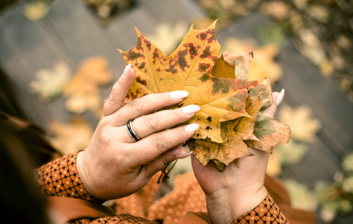 Tìm vui trong từng giây phút nhỏ