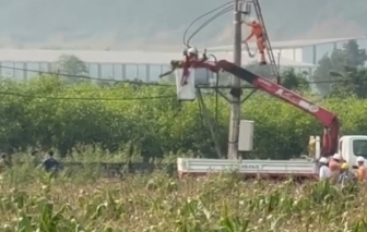 Nghệ An: Học sinh lớp 8 gặp nạn trên cột điện, không qua khỏi