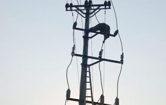 Thi thể nam thanh niên vướng trên cột điện 35kV