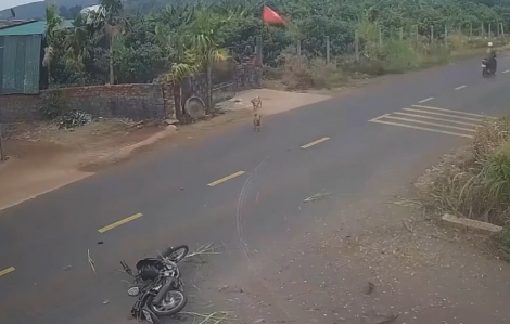 Đình chỉ thiếu tá CSGT để điều tra vụ tai nạn khiến nam sinh lớp 12 tử vong