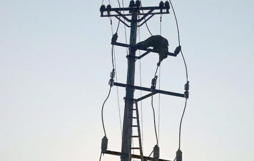 Thi thể nam thanh niên vướng trên cột điện 35kV