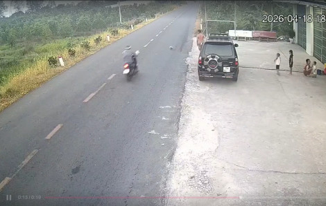 Khi trẻ chơi đùa quá tự do và cha mẹ bênh con bất chấp