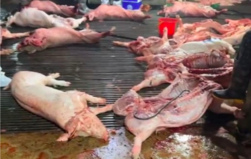 Cử tri lo giá xăng dầu leo thang, đề nghị xử lý quyết liệt thực phẩm bẩn