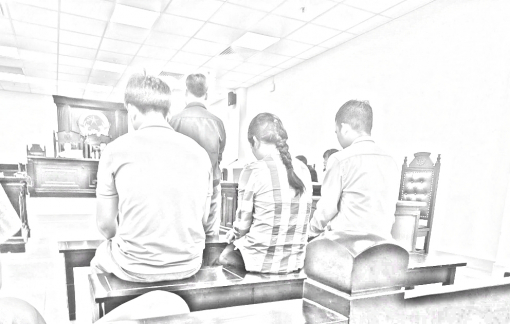 Lập hai sổ kế toán để trốn thuế, Giám đốc doanh nghiệp lãnh 5 năm tù