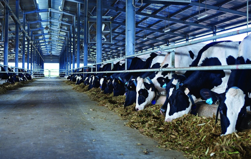 Lần đầu tiên có gian hàng Quốc gia tại ILDEX Vietnam 2026