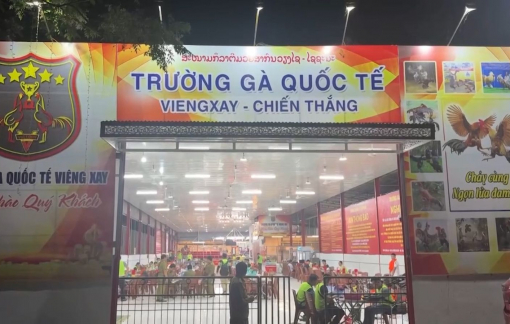 Triệt phá “trường gà quốc tế” quy mô 1.200 tỉ đồng, khởi tố 196 bị can