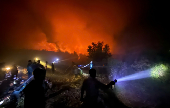 Cháy gần 4,7ha rừng, nghi do người dân đốt rơm rạ