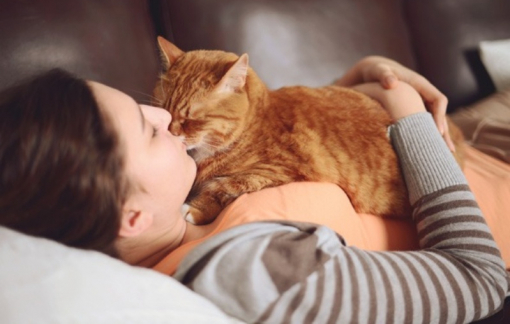 Cha mẹ chắt chiu từng đồng, con lại dốc hết cho mèo