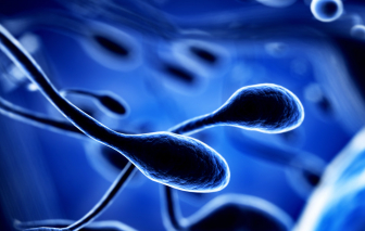 Biến đổi khí hậu cùng với hóa chất làm giảm khả năng sinh sản của con người, động vật