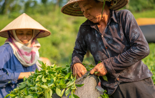 Có 2 căn nhà cho thuê, cha mẹ vẫn vất vả kiếm tiền để lo cho con cái