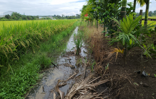 Xây kênh hàng chục tỉ rồi bỏ hoang, nay đề xuất cấp kinh phí để lấp lại