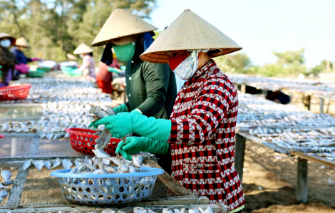 Di sản làng nghề là tài nguyên phát triển kinh tế biển TPHCM
