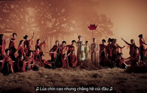 ‘Lúa chín không cúi đầu’ và sự đáng tiếc cho một dự án tâm huyết