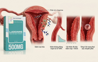 3 tác dụng của L-Arginine trong hỗ trợ cải thiện chất lượng trứng và niêm mạc ở phụ nữ làm IVF