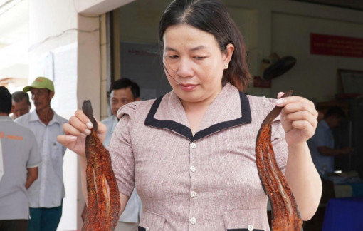 Cà Mau: Cá chết hàng loạt, nghi do dự án mở rộng sân bay gây ra