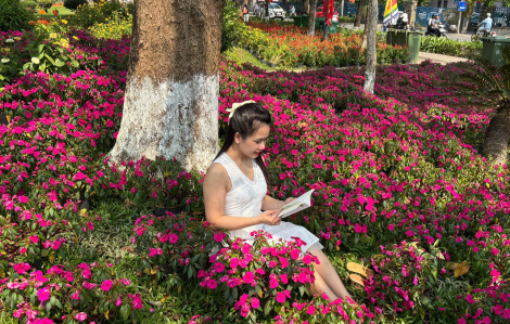 Khát vọng trở thành phụ nữ độc lập: Khi những trang sách xoa dịu tâm hồn vụn vỡ