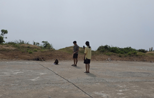 5 du khách nhập viện sau khi bị khỉ tấn công ở cung đường ven biển Đắk Lắk