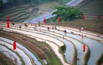 Mù Cang Chải mở giải đua leo ruộng bậc thang