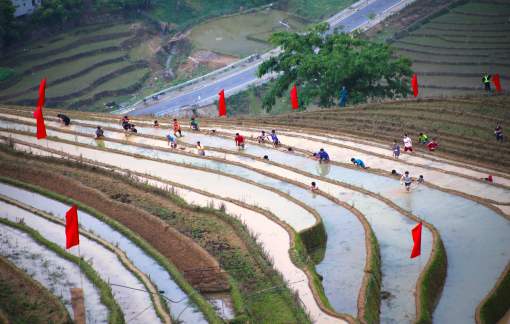Mù Cang Chải mở giải đua leo ruộng bậc thang