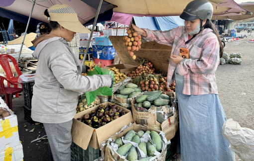 Vải đầu mùa giá bán gấp đôi năm ngoái