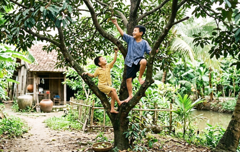 Giữ mãi một mảnh vườn xào xạc trong tim