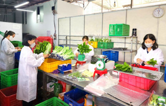 Nhân lực chất lượng cao mở lối cho nông nghiệp hiện đại