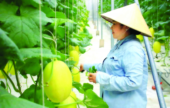 TPHCM tăng tốc 'số hóa' nông dân