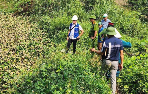 Trang trại nuôi lợn công nghệ cao xả nước thải ô nhiễm ra môi trường