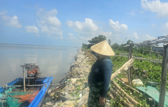 An Giang đề xuất 20 tỉ đồng để khắc phục tình trạng sạt lở đê biển