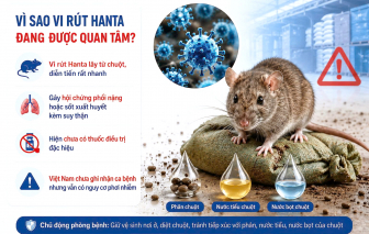 Vi rút Hanta: Không dễ thành dịch nhưng không chủ quan