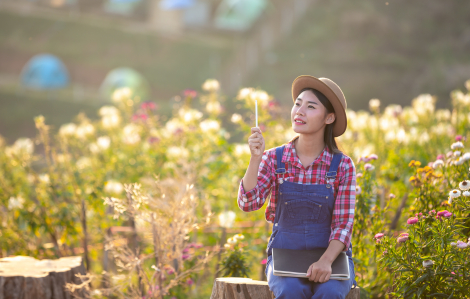 Bỏ phố về quê không dành cho những giấc mơ hời hợt