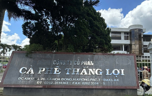 Đắk Lắk quyết định thu hồi hơn 500ha đất của một công ty cà phê