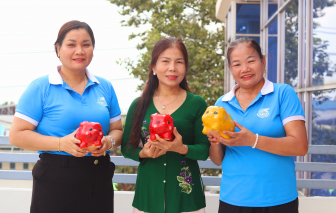 Chị em nuôi heo đất tặng nữ sinh nghèo hiếu học
