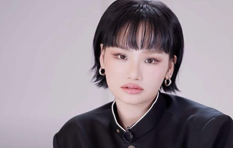 Miu Lê đối diện mức án nào khi bị khởi tố?