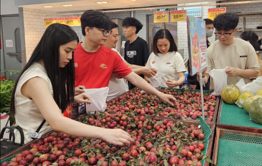 Siêu thị giảm giá mận hậu Sơn La còn gần 21.000 đồng/kg