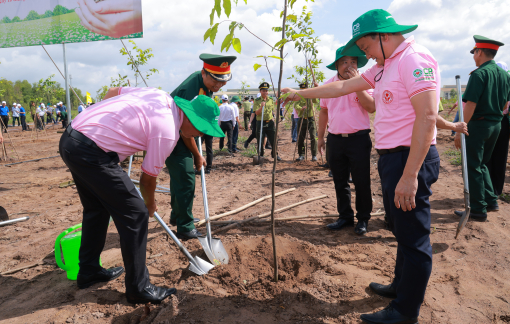 C.P. Việt Nam chung tay phủ xanh địa phương, góp phần nâng cao chất lượng sống cộng đồng