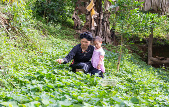 Trao quyền cho phụ nữ nông dân để bảo vệ tương lai lương thực