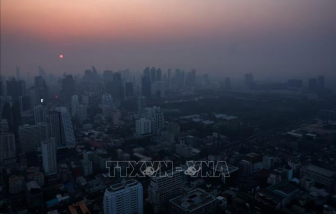 Thủ phạm gây ra 13.000 ca tử vong và thiệt hại gần 8 tỉ USD tại Đông Nam Á