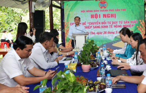 Giúp nông dân miền Tây chuyển đổi tư duy từ sản xuất nông nghiệp sang kinh tế nông nghiệp
