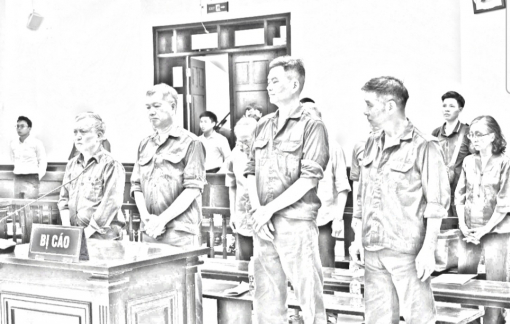 Cựu lãnh đạo VICEM xin giảm nhẹ trách nhiệm bồi thường