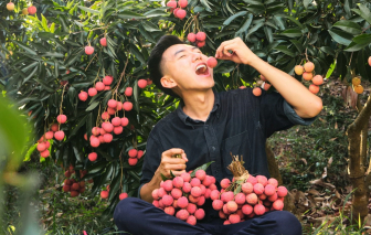 Mỗi lượt xem là một cơ hội cho văn hóa Việt