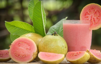 Nước ép ổi giúp phụ nữ hấp thu sắt tốt hơn