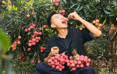 Mỗi lượt xem là một cơ hội cho văn hóa Việt