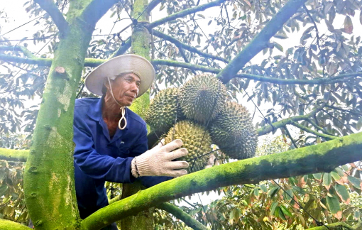 Đẩy mạnh chuyển đổi sản xuất nông nghiệp sang kinh tế nông nghiệp
