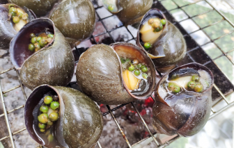Vị ốc bươu tuổi thơ