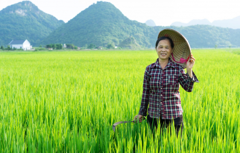 Kinh tế xanh có thật sự công bằng với phụ nữ?
