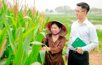 Bảo hiểm nông nghiệp - từ lưới an sinh đến công cụ quản trị rủi ro